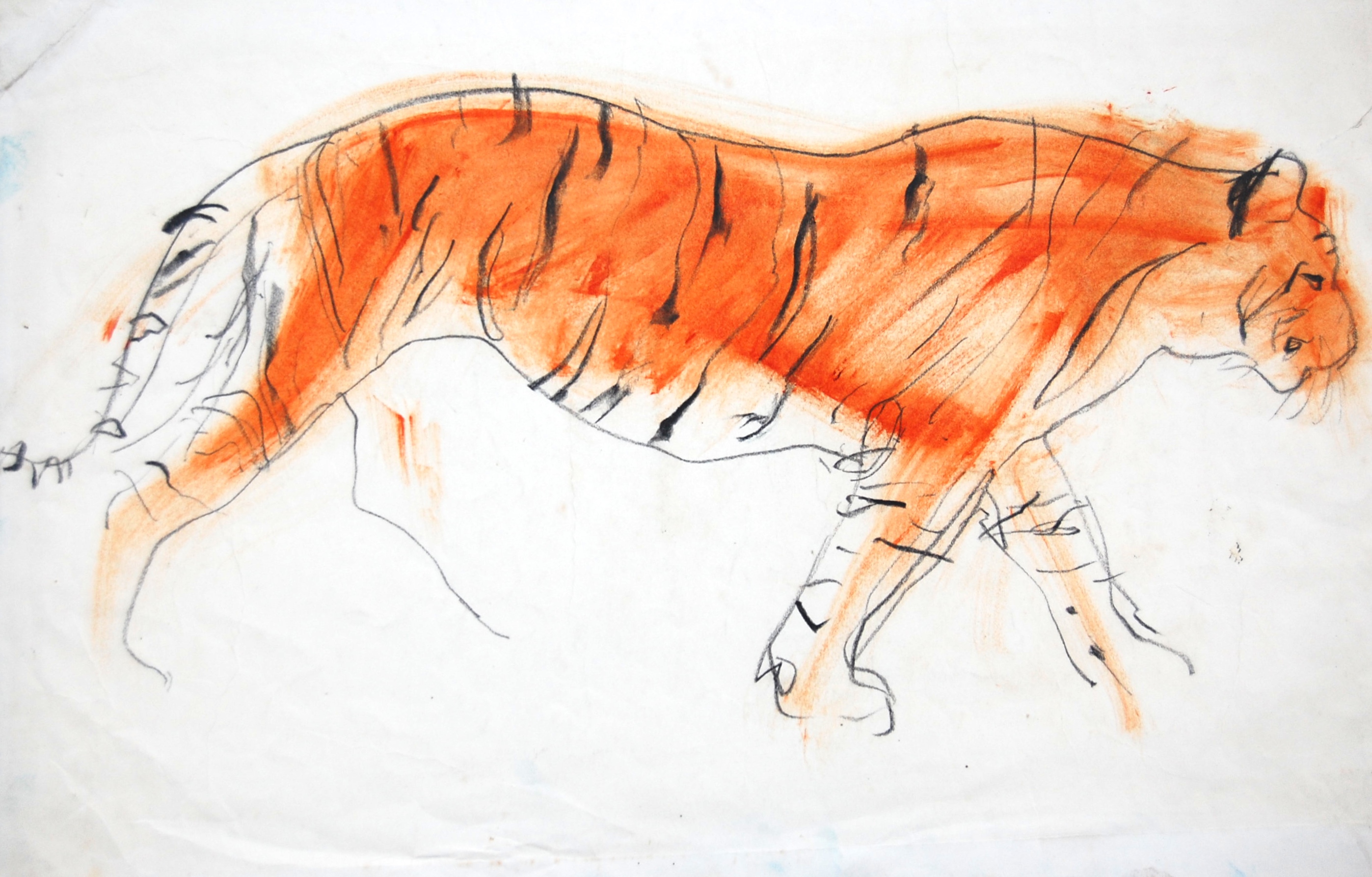 Tiger | Robert Eagle Fine Art